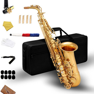 Professional Electrophoretic Gold E-Flat Alto Saxophone with Accessories Soprano Saxophone Complete Set