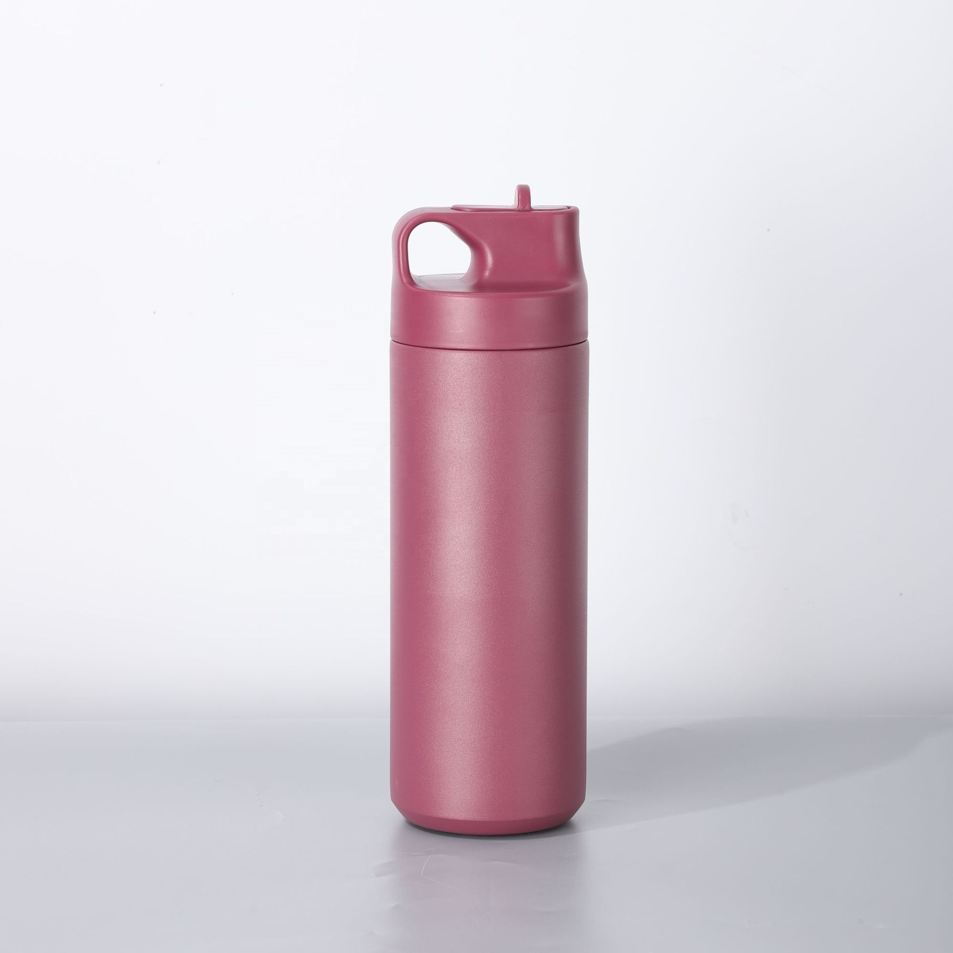 Custom 500ml Leakproof Stainless Steel Insulated Vacuum Flasks Thermoses Double Wall Sport Fitness Water Bottle