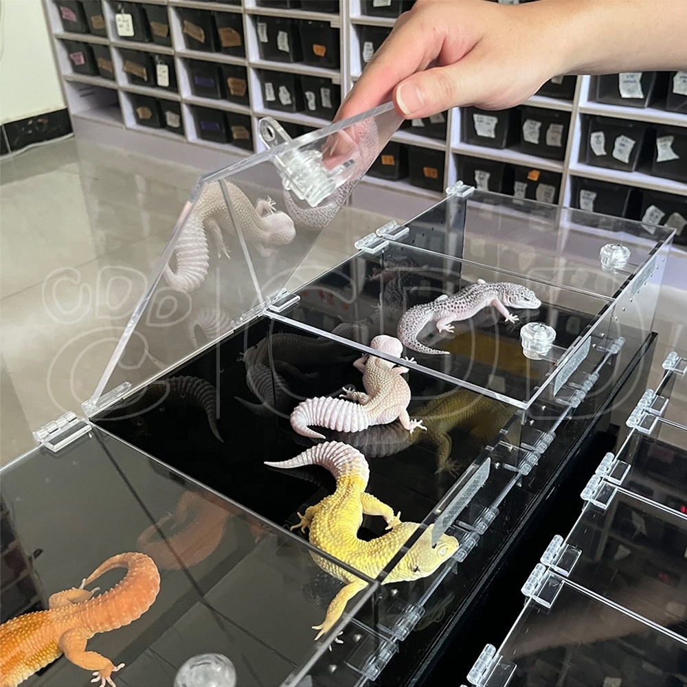 Custom size 3 tiers table top acrylic snake gecko reptile display cases with lock stand reptile expo display for reptile show