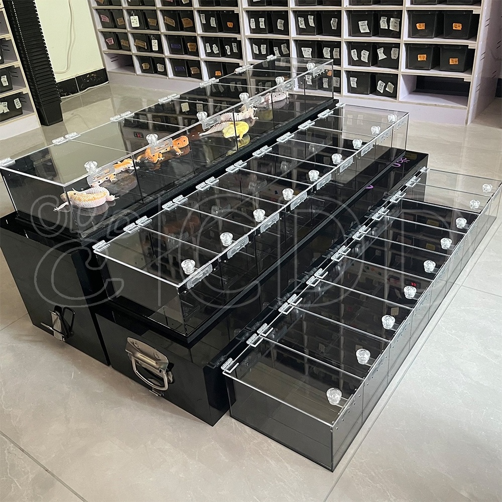 Custom 3 shelves table top acrylic snake gecko reptile display cases with lock stand reptile expo display for reptile show