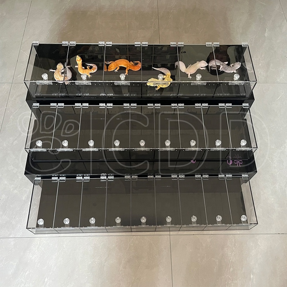 Custom size 3 tiers table top acrylic snake gecko reptile display cases with lock stand reptile expo display for reptile show