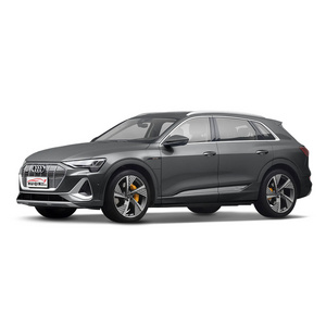 Audi e-tron 50 quattro Premium Edition pure electric dual motor four-wheel drive high-performance electric vehicle electric SUV