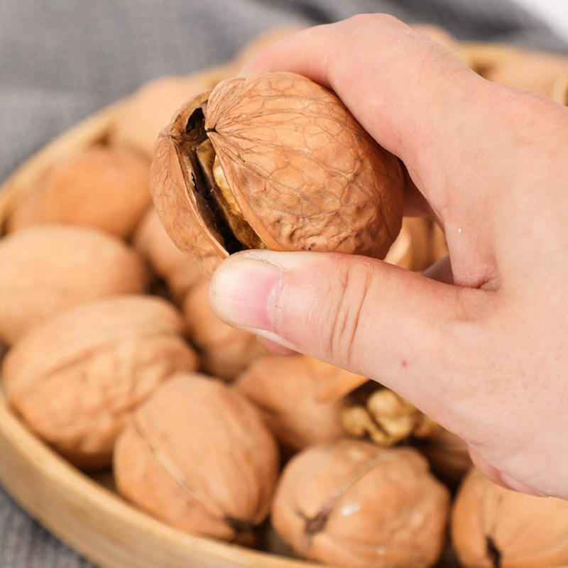 China Cheap Prices Raw Walnut Shell Blanched Shelled Walnuts Supplier