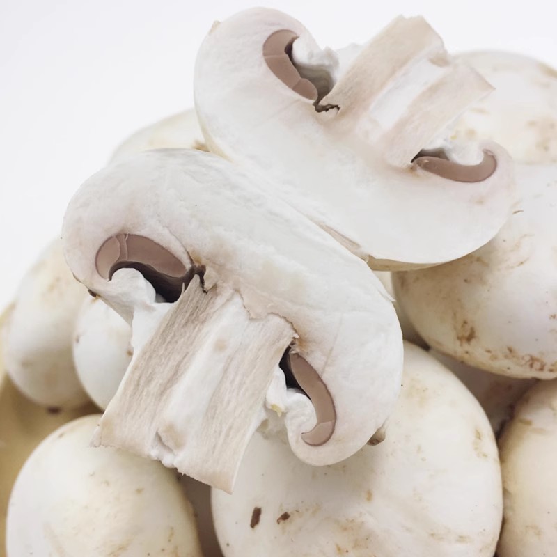 1kg Dried White Mushroom High Quality Dried Mushroom in Bulk Quantity Very Much Available for Wholesale Buyers