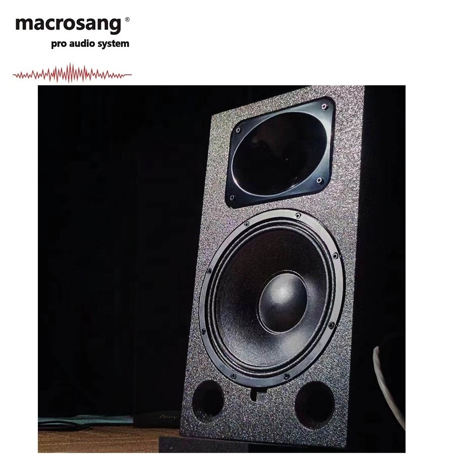 marcrosang LS12 studio monitor speaker 12-inch active monitor speakers Premium Studio Monitor speaker in China