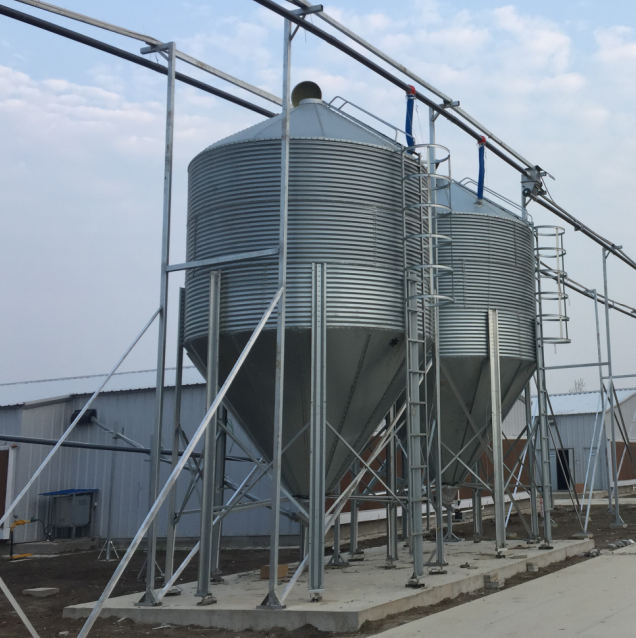 Agricultural Animal Husbandry Feeding silos Galvanized Steel Chicken Feed Silo