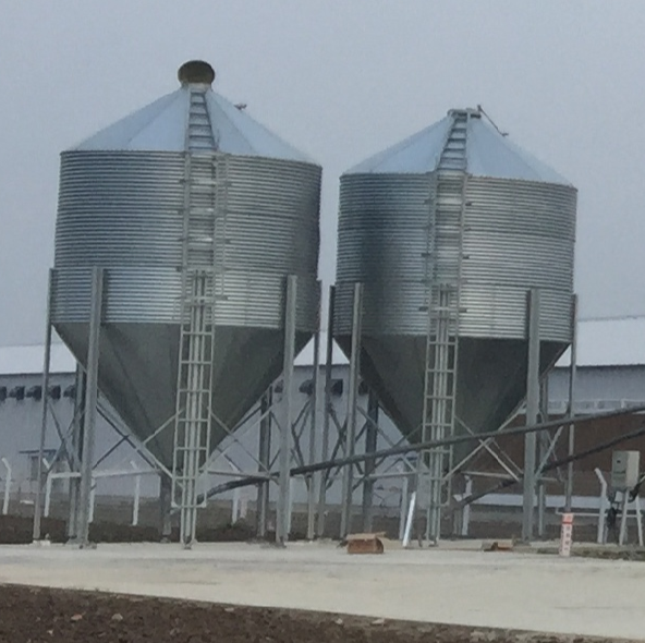 Agricultural Animal Husbandry Feeding silos Galvanized Steel Chicken Feed Silo