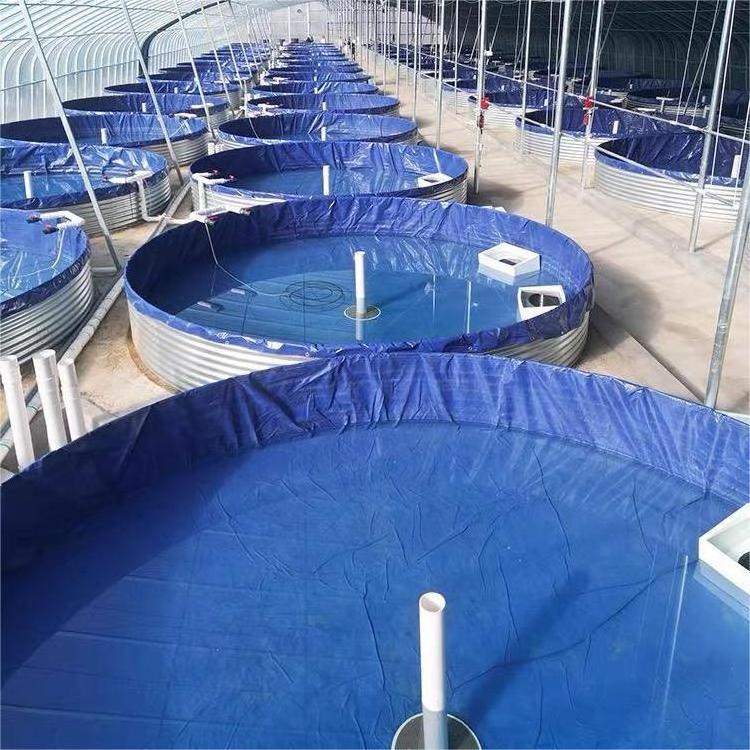 Big Capacity Fish Farm Galvanized Steel PVC Tarpaulin Liner Farming Fish Tank