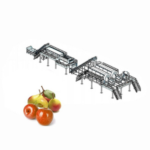 Apple juice processing plant apple juice extractor machine industrial apple juicer machine