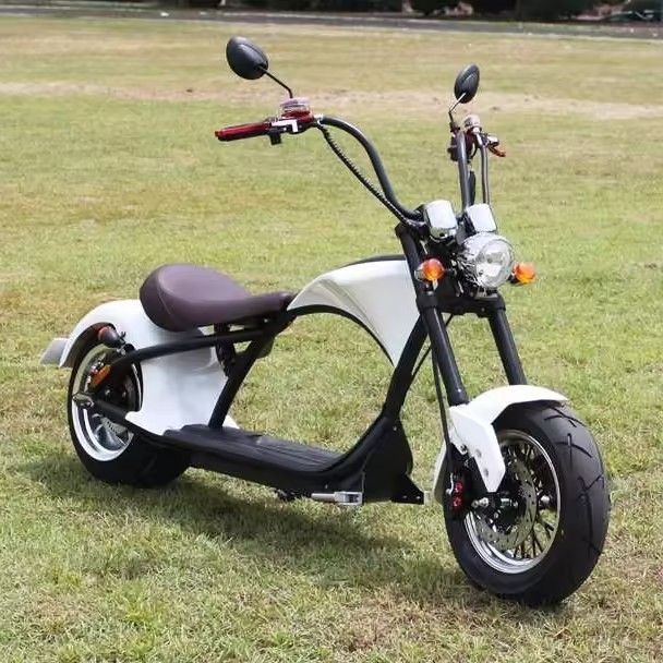 CityCoCo electric motorcycle adult motor bike motorcycle electric motorbike Similar to Harley Davidson motorcycle