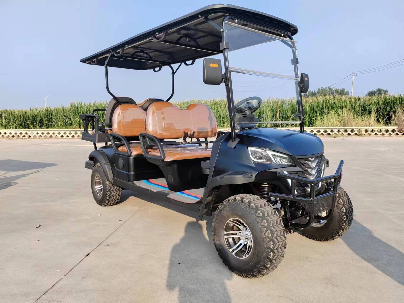 High Performance 2-8 Seater Golf Carts Electric or Gas Powered Cheap Electric Golf Carts