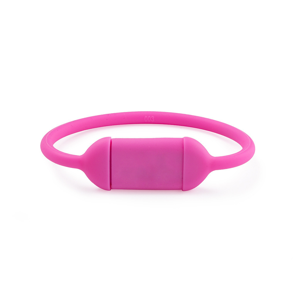 Custom Silicone Bracelet Wrist Band Wristband Usb Stick Drives 1Gb2GB 4GB8GB Usb Flash Drive/Pen Drive/Pendrive