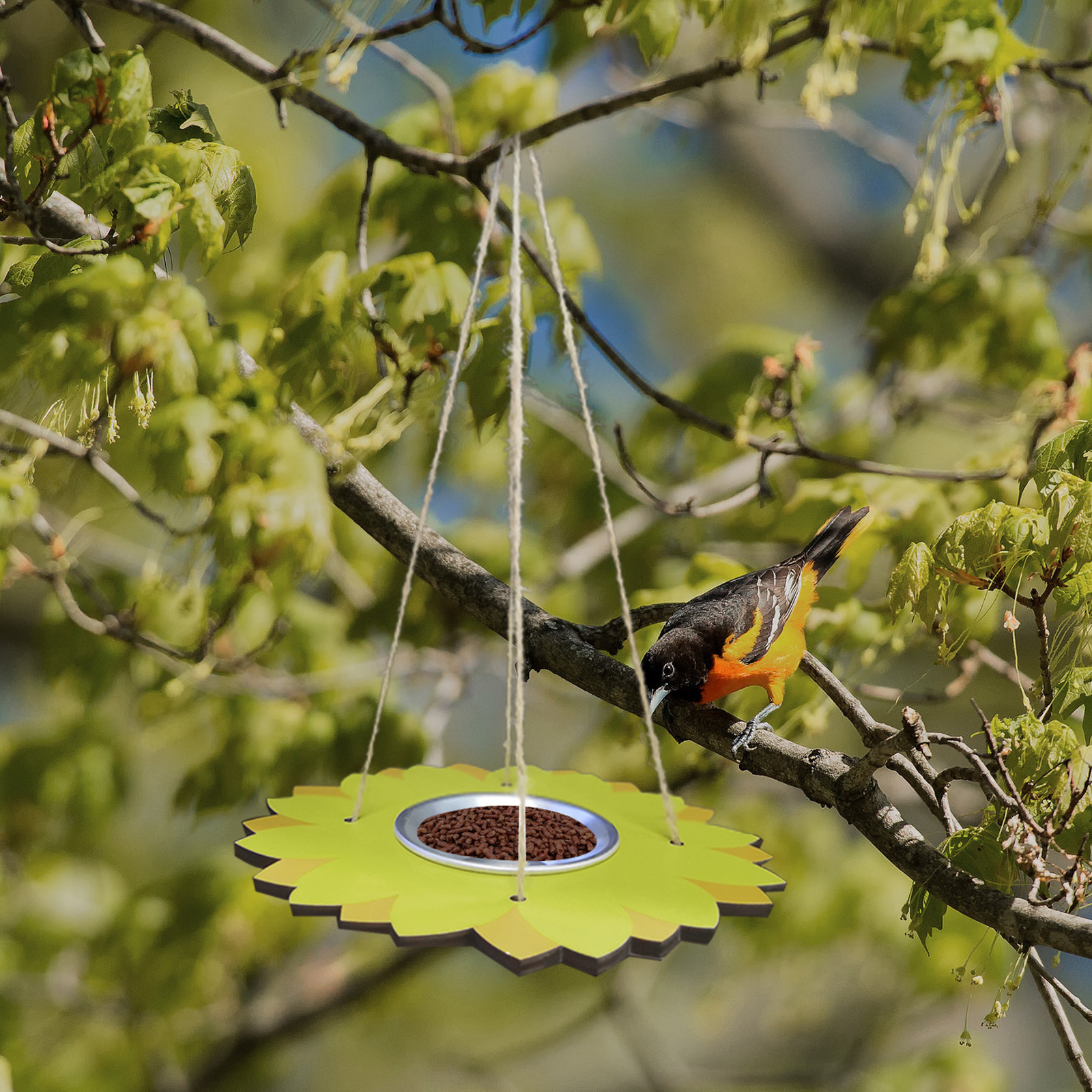 factory Pet Bird Feeder Pet Food Dispenser Outdoor Flying Animal Foot Feeding Tool Hanging Stainless Steel Bird Feeder