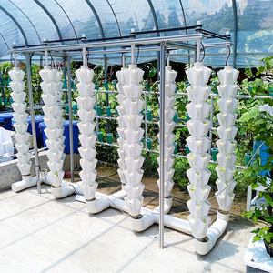 Commercial vertical hydroponic tower garden strawberry grow vertical hydroponic system for vegetable and fruits