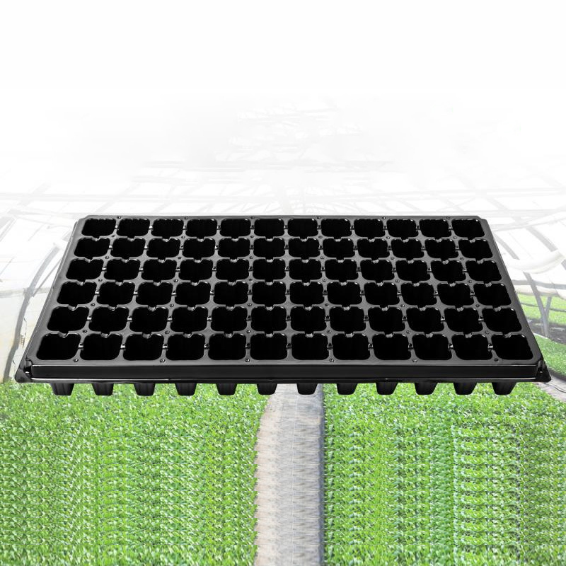 Good Price garden germination seed starter tray Factory Wholesale Seed Tray Thicken Black Colour Seedling Tray 72 Cells