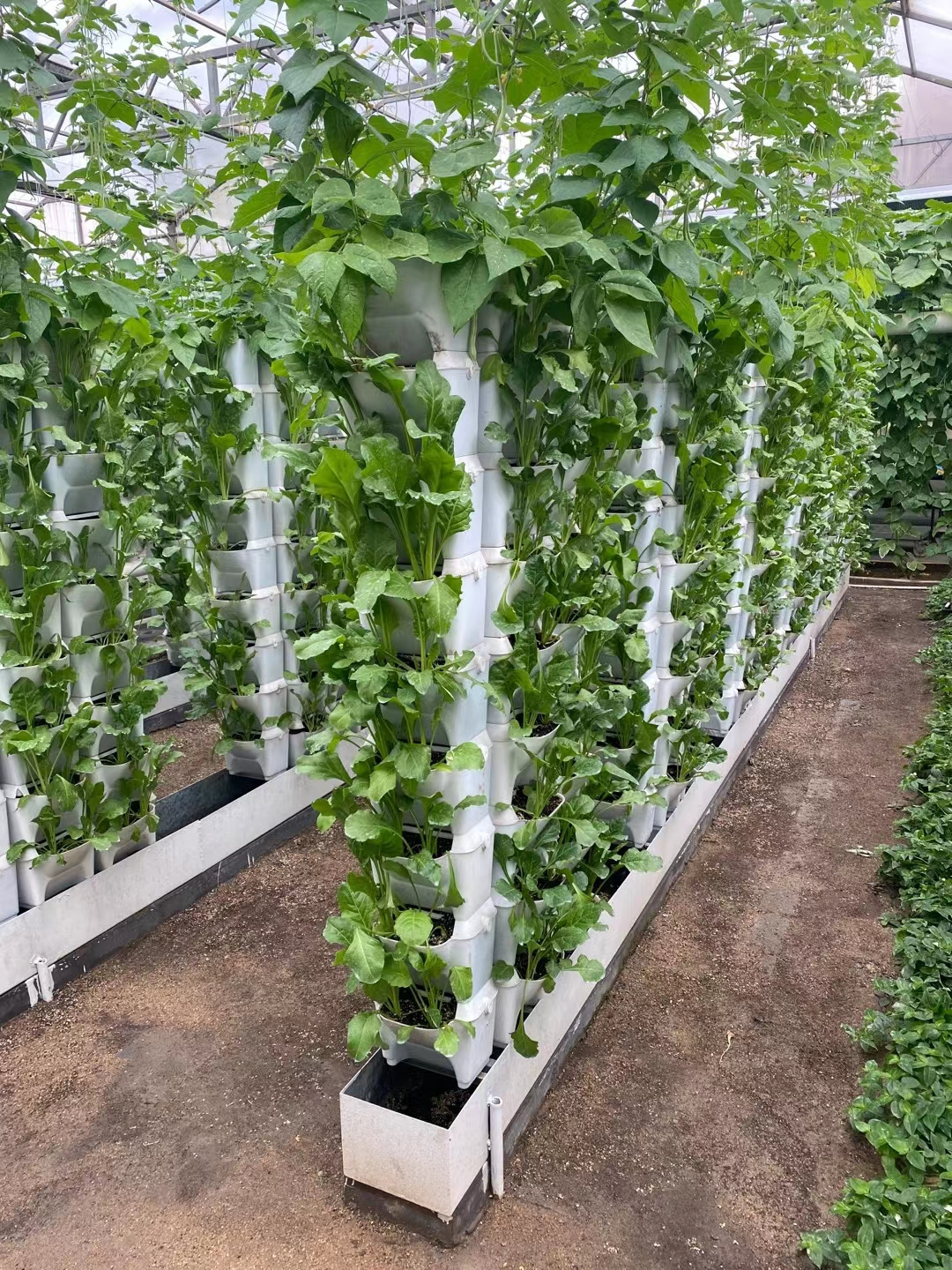 Commercial vertical hydroponic tower garden strawberry grow vertical hydroponic system for vegetable and fruits