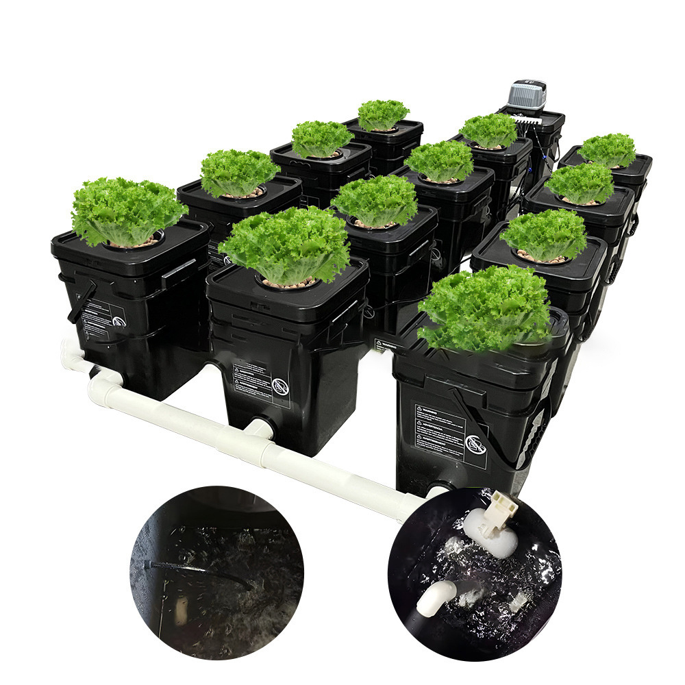 Recirculating aquaponik dutch buckets RDWC systems. bucket pipe dwc hydroponic system