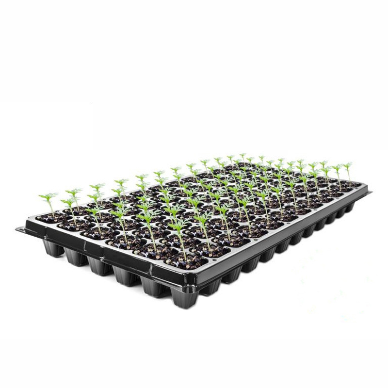 Good Price garden germination seed starter tray Factory Wholesale Seed Tray Thicken Black Colour Seedling Tray 72 Cells