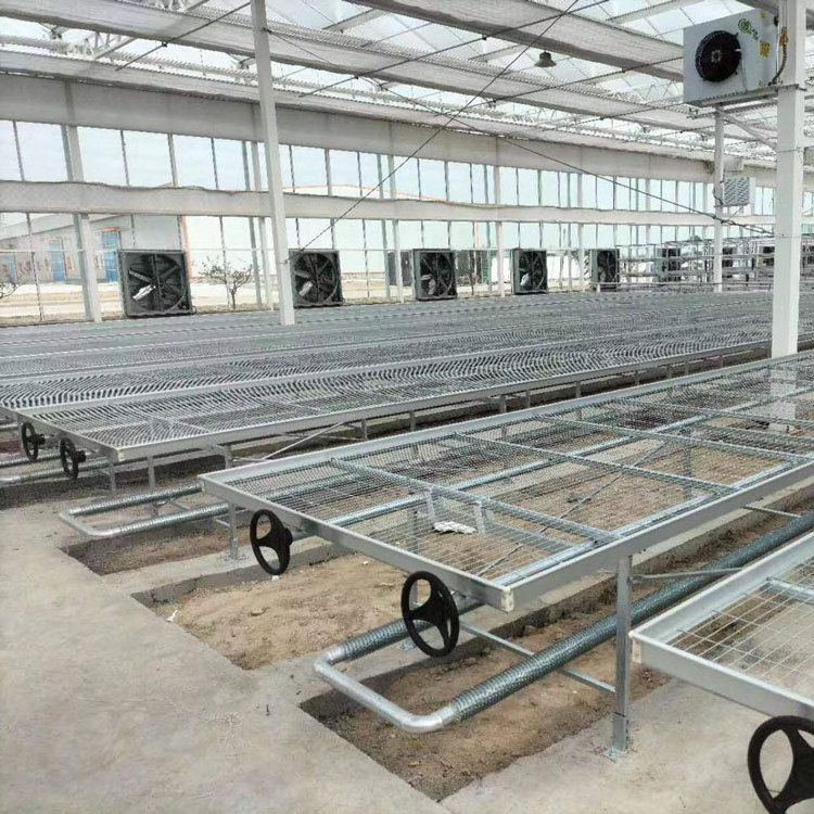 Growing Tray 4x8 4x16 4*32 Flood Trays Ebb And Flow System Rolling Bench Grow tables rolling bench for grow