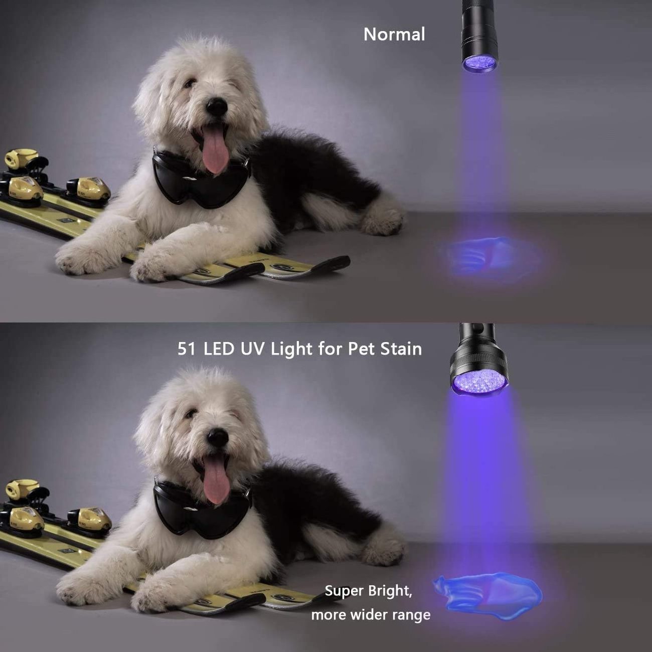 51 LEDs 395nm UV Black Light Torch Dog Cat Pet Urine and Stain Detector UV Flashlight With Tactical Cones