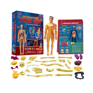 Human Body Model Science Set Organs Doll Removable Toy Learning Kit for Children