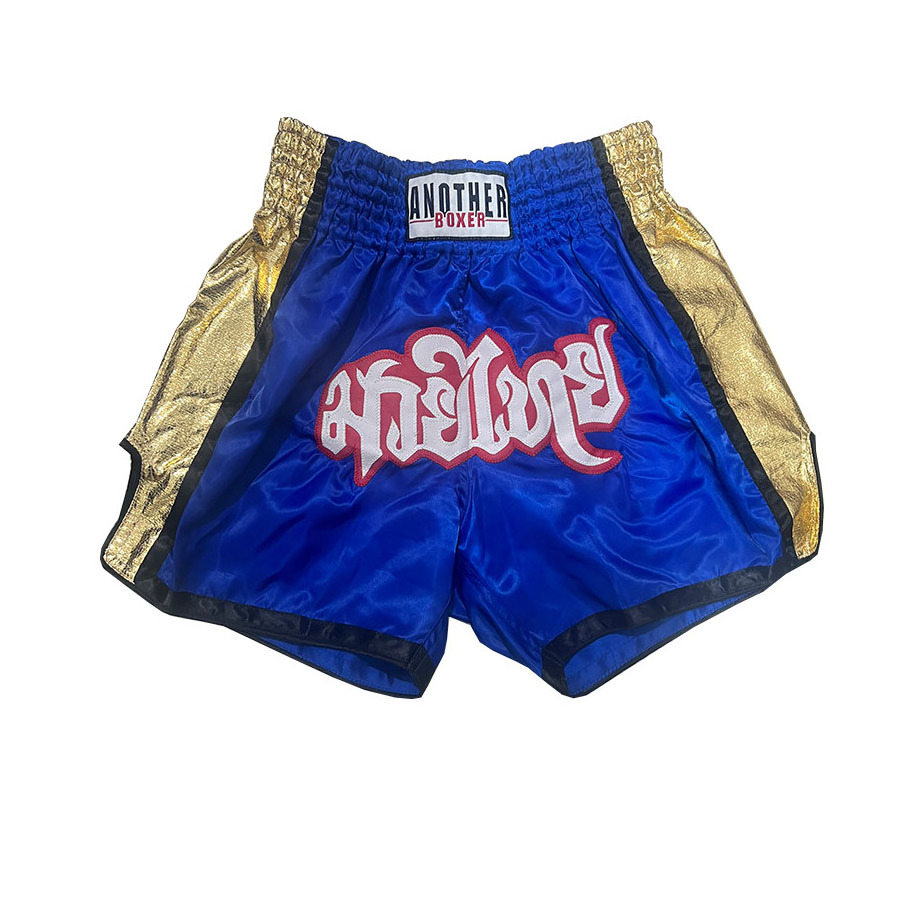 Custom adult Muay Thai fighting shorts Embroidered MMA professional shorts Shorts