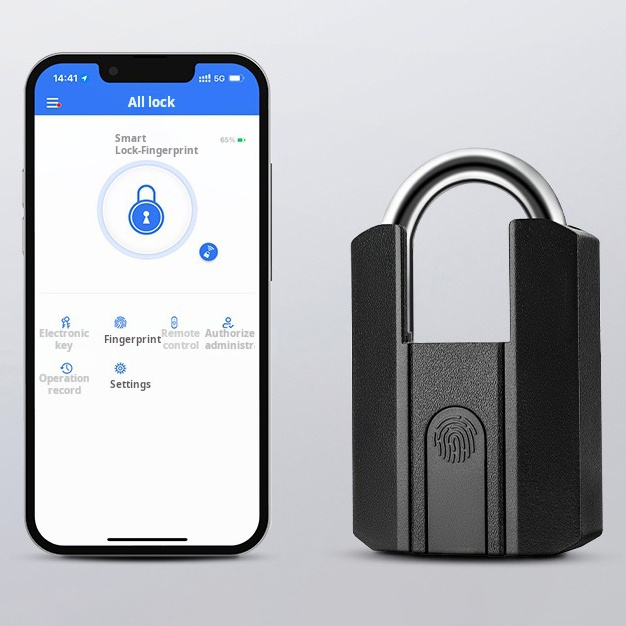 Wireless Ip67 Anti-Theft Cheap Wholesale Price Padlock Fingerprint Smart Gym Locker Padlock With Fingerprint