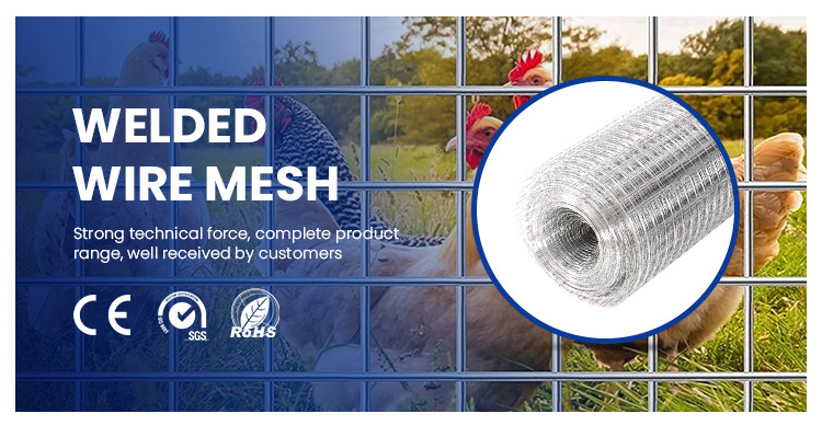 Factory Wholesale Electro Galvanized Welded Mesh 1x1 High Corrosion Resistance 10 Gauge Hot Dipped Galvanized Welded Wire  mesh