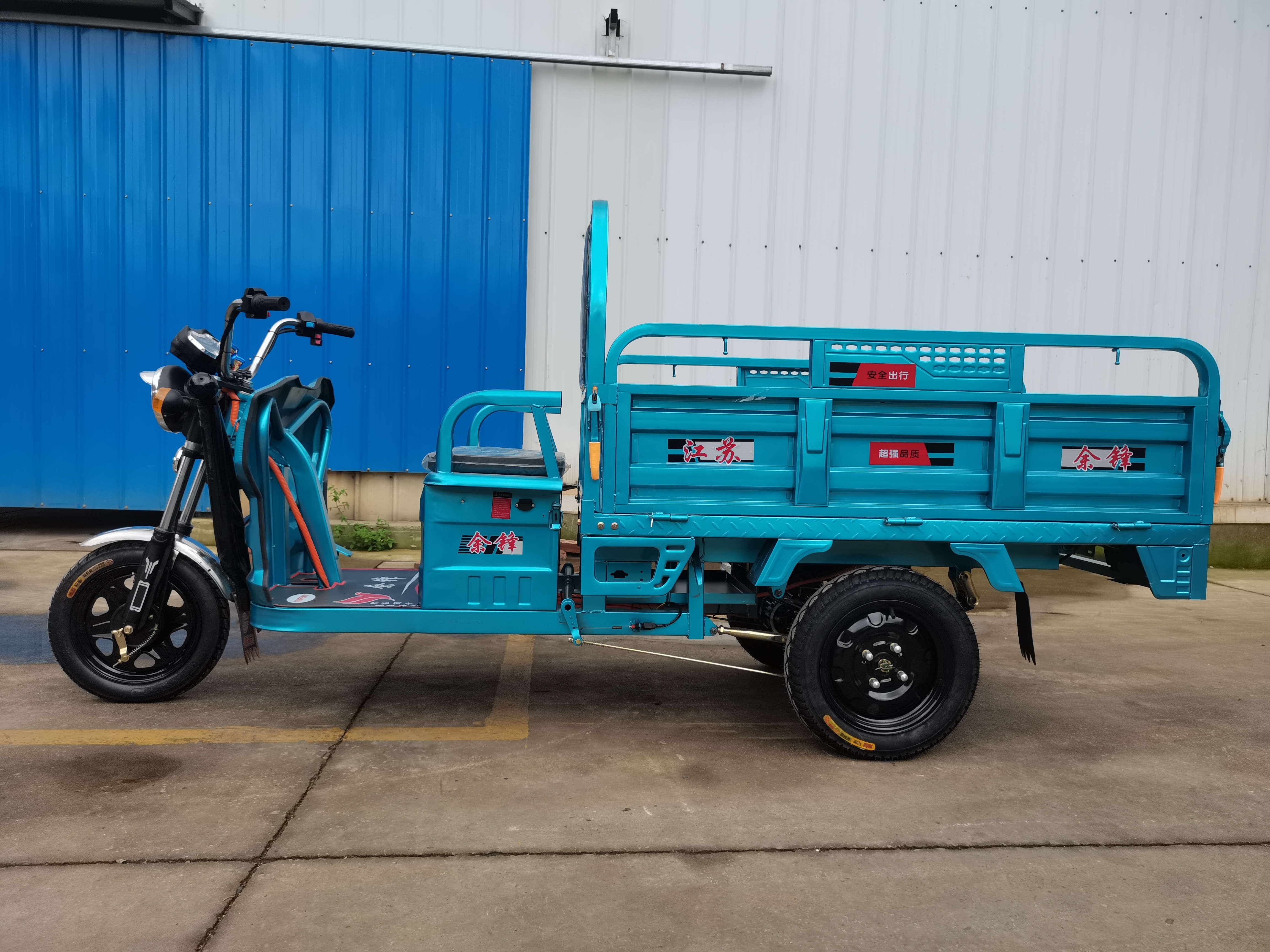 Three Wheel Electric Scooter Tricycle with a passenger back seat 800w Motor electro-tricycle