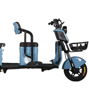 Hot Sale Tricycles Bajaj Electric Three Wheel Passenger Tricycle Auto E Rickshaw Tuk Tuk Differiential Motor Taxi