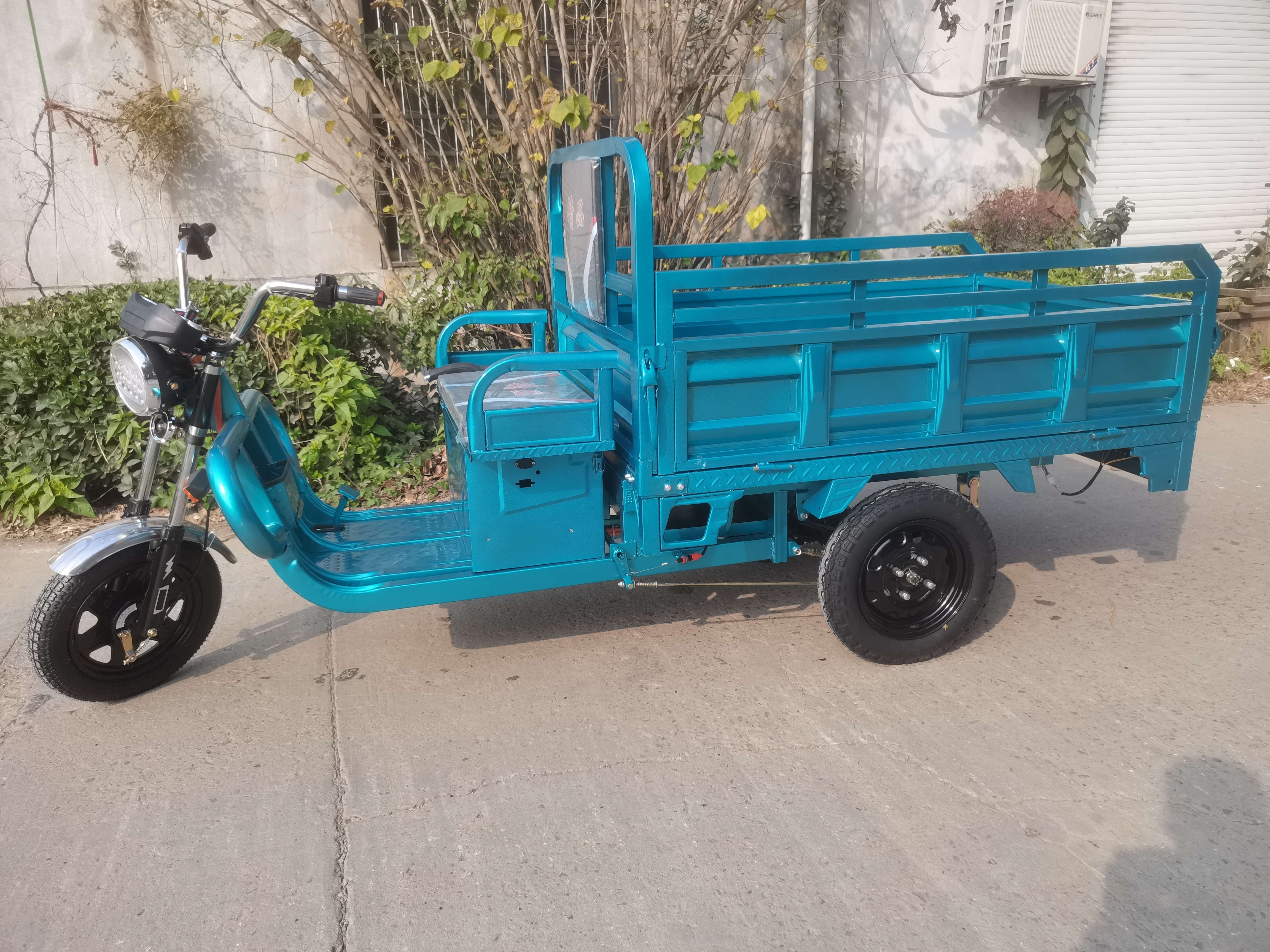 Three Wheel Electric Scooter Tricycle with a passenger back seat 800w Motor electro-tricycle