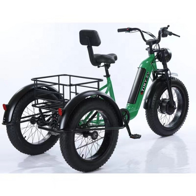 China Three Wheel 1000W Gasoline Truck Motorcycle Cargo Electric Tricycle