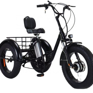 Fully Enclosed Electric Tricycle with Canopy Cargo Bike Adult 3 Wheel Cheap Electric Tricycle for Transportation