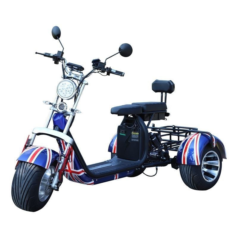 Buy 3 wheel electric tricycle motorcycle 2000W 12inch 40km/h speed closed cheap electric tricycle for adults adult tricycle