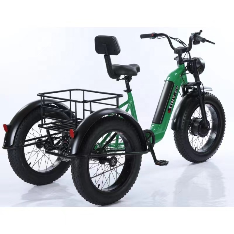 China cheap and durable 2 seat electric tricycle adult electric bicycle three wheel electric tricycles with child seat