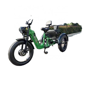 Heavy duty electric cargo vehicle 1000W/1200W/1500W high speed three wheel cargo bike truck cargo tricycle