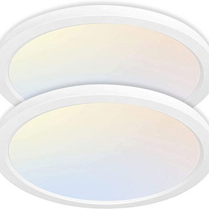 13 Inch Selectable CCT LED Round Flat Panel Light, 24W 2400lm Dimmable Edge-Lit Flush Mount Ceiling Light Fixture