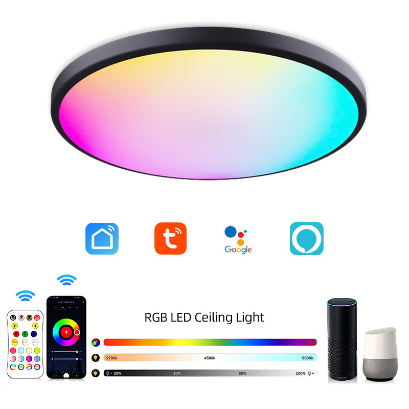 24w 320mm RGB Wifi Smart LED Flush Mount Ceiling Light Compatible with Alexa Home Tu ya APP