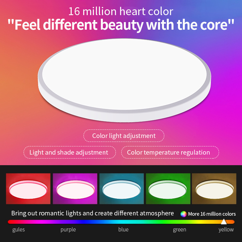 24w 320mm RGB Wifi Smart LED Flush Mount Ceiling Light Compatible with Alexa Home Tu ya APP