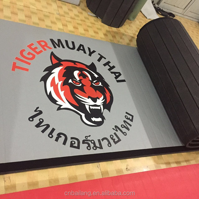 Used Martial Arts Wrestling Roll Mats For Sale