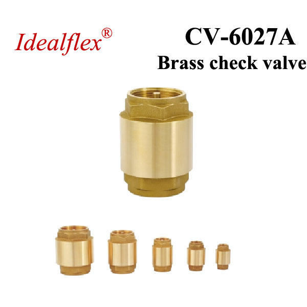 1/2 inch one way bronze swing check valve with female thread