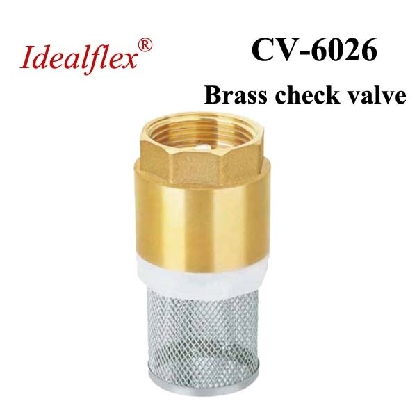 1/2 inch one way bronze swing check valve with female thread