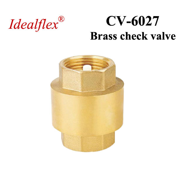 1/2 inch one way bronze swing check valve with female thread