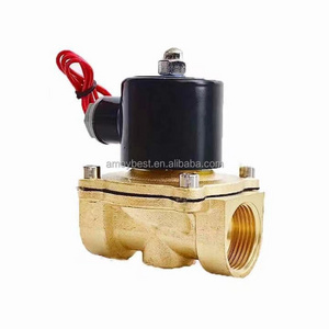 3/8"  DN10  Solenoid valve manufacturers Stainless Steel brass hot water steam solenoid valves 2W-040-10