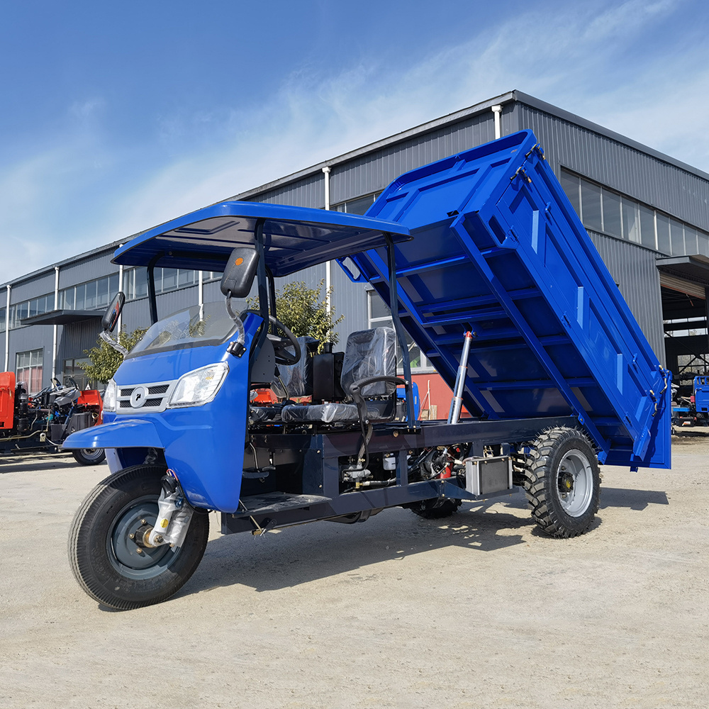 Low Cost Diesel Tricycle Motorised Tricycle With Roof For Sale