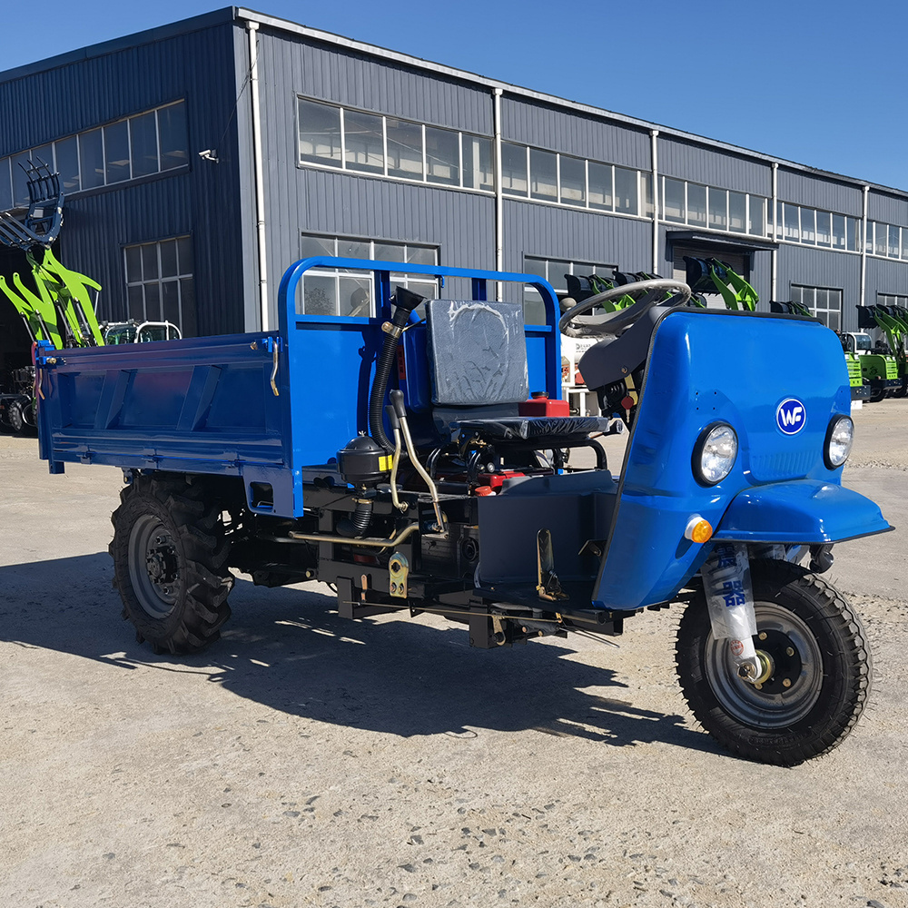 Low Cost Diesel Tricycle Motorised Tricycle With Roof For Sale