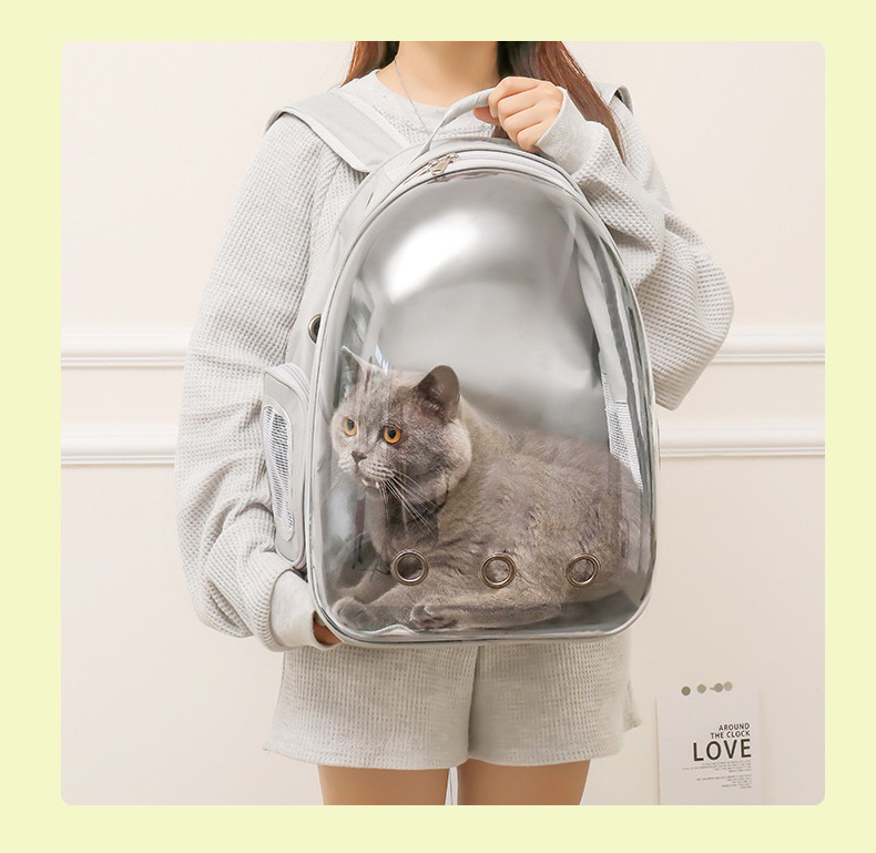 Factory Direct Sell Transparent Pet Bag Bags For Dog Cat And Bird Travel Puppy Design Carrier Backpack