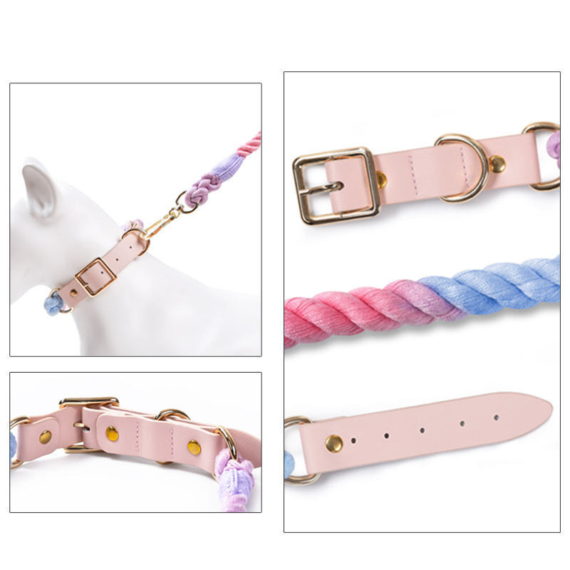 Luxury manufacturer private label dog collar and leash set heavy duty pet dog leash training harness for dogs colored