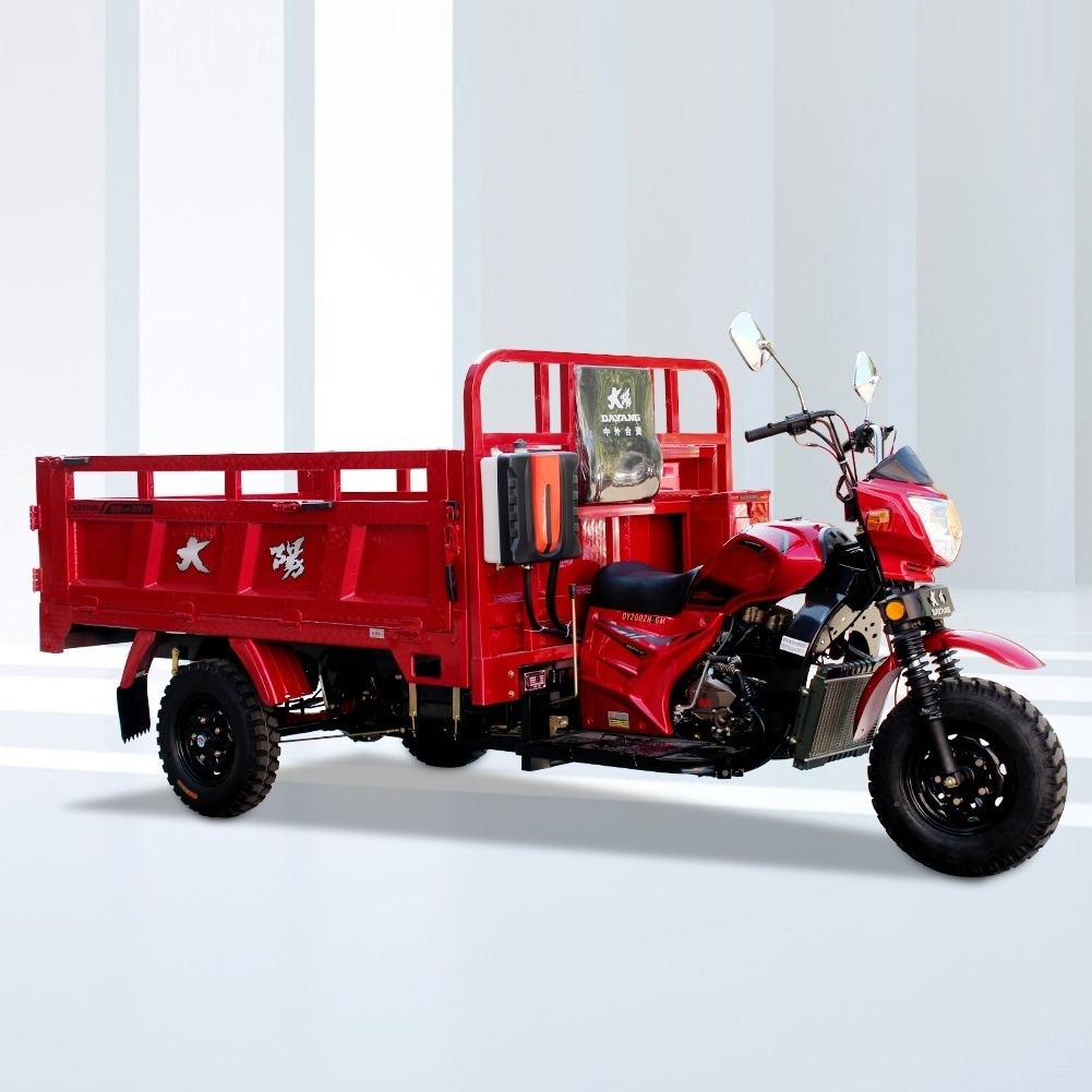 DAYANG Truck Cargo 3wheels Motorcycle Tricycle Clearance Customized Power Wheels Mechanical Method Origin Type