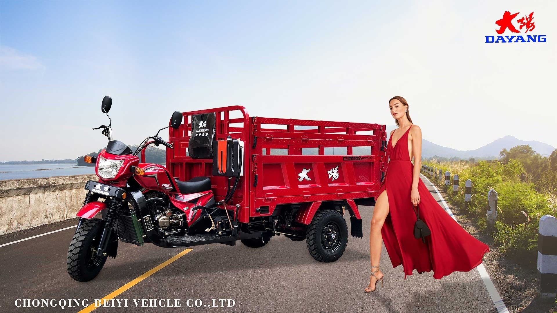 DAYANG Truck Cargo 3wheels Motorcycle Tricycle Clearance Customized Power Wheels Mechanical Method Origin Type